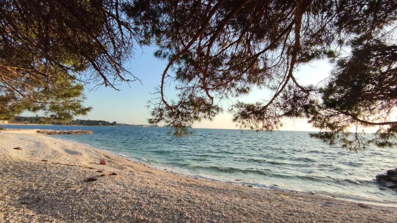 Apartments Marla Poreč Eksteriør billede